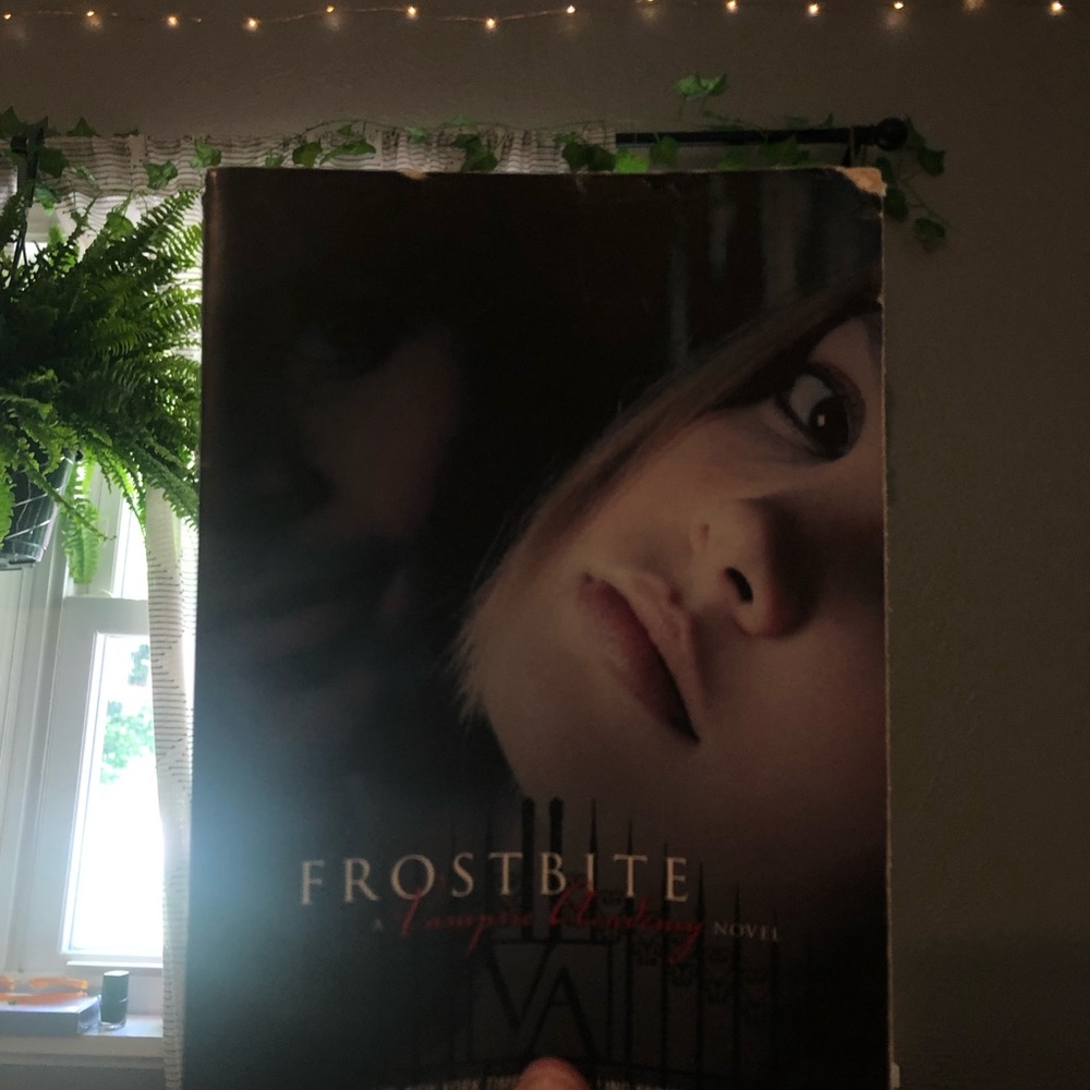 Frostbite: a Vampire Academy novel